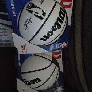 Wilson NBA Signature Series Basketball White